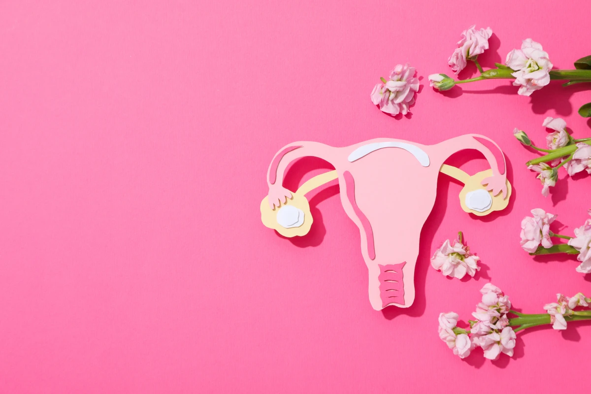 Le droit à la santé reproductive et l'éducation sexuelle à l'école : un enjeu sociétal majeur