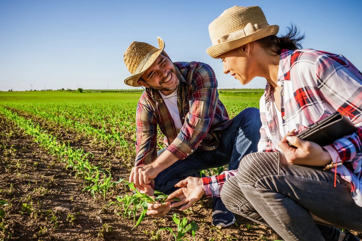 La révolution numérique agricole : Qui détient vraiment les clés des données ?